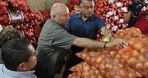 Cadena Agroalimentaria aprueba importación de 10 mil quintales más de cebolla para diciembre