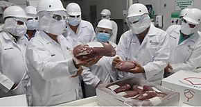 Panamá avanza en proceso para exportar carne de res a Estados Unidos