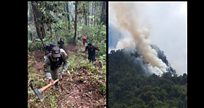 Continan labores de extincin del incendio de masa vegetal en Cerro Punta