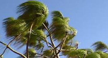 SINAPROC emite aviso de prevención por fuertes vientos