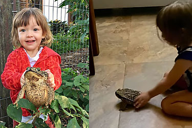 Niña de tres años tiene sapos por mascotas y se volvió viral