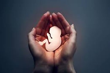 El Vaticano denuncia la teora del gnero el aborto la gestacin subrogada