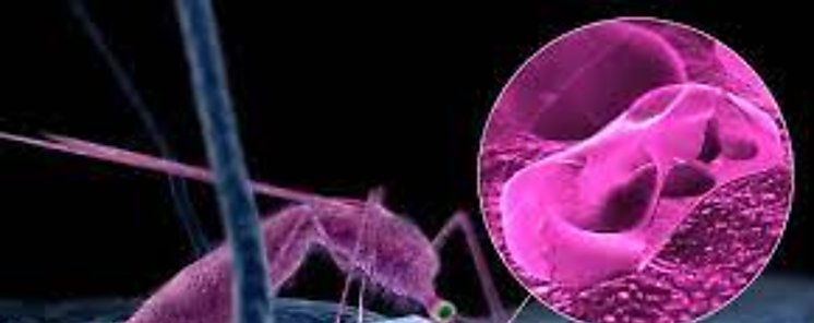 Casos de malaria bajo vigilancia epidemiológica
