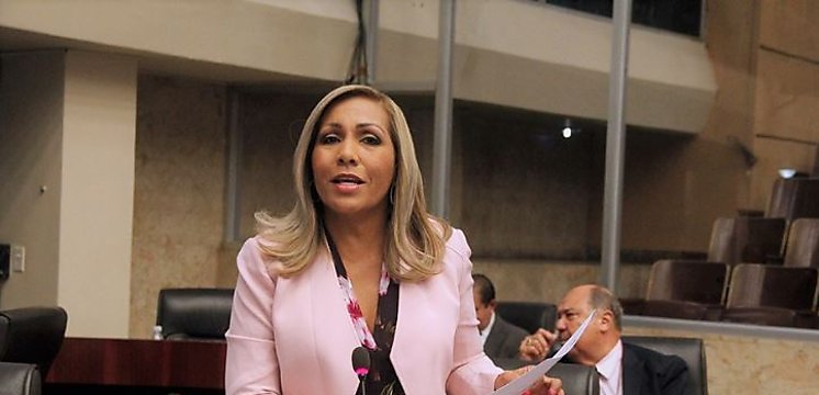 Juzgado Electoral rechaza demanda de impugnacin contra Yanibel brego
