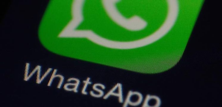 WhatsApp lanzó nuevo servicio para organizaciones De qué trata
