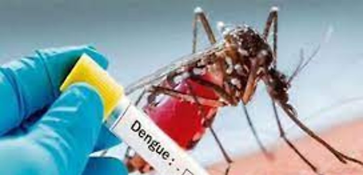 Aumentan los casos de dengue en Panamá Este hay 34 casos en Chepo