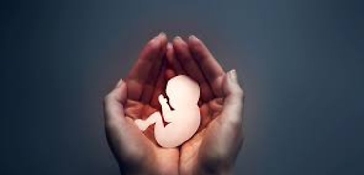 El Vaticano denuncia la teora del gnero el aborto la gestacin subrogada